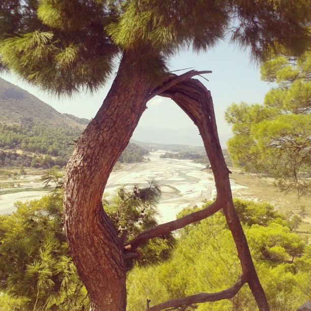 borgahan_karabay_1380555097_556458950492114484_553862770