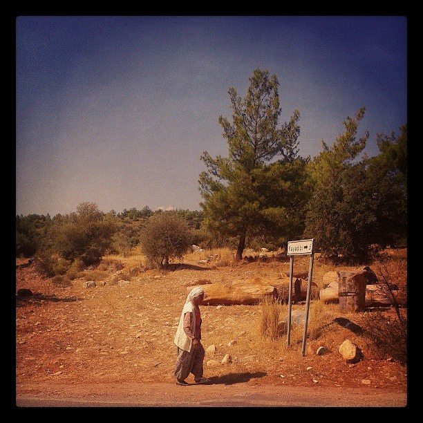 borgahan_karabay_1437062428_1030476795585711823_553862770