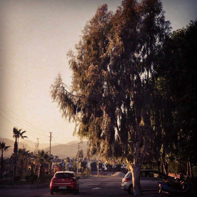 borgahan_karabay_1437063860_1030488811981458488_553862770