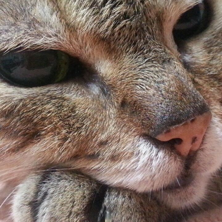 borgahan_karabay_1437430384_1033563438693698623_553862770