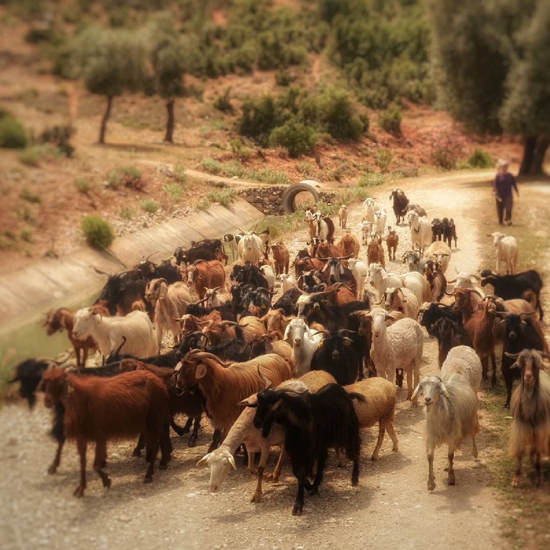 borgahan_karabay_1438892978_1045832559250590979_553862770