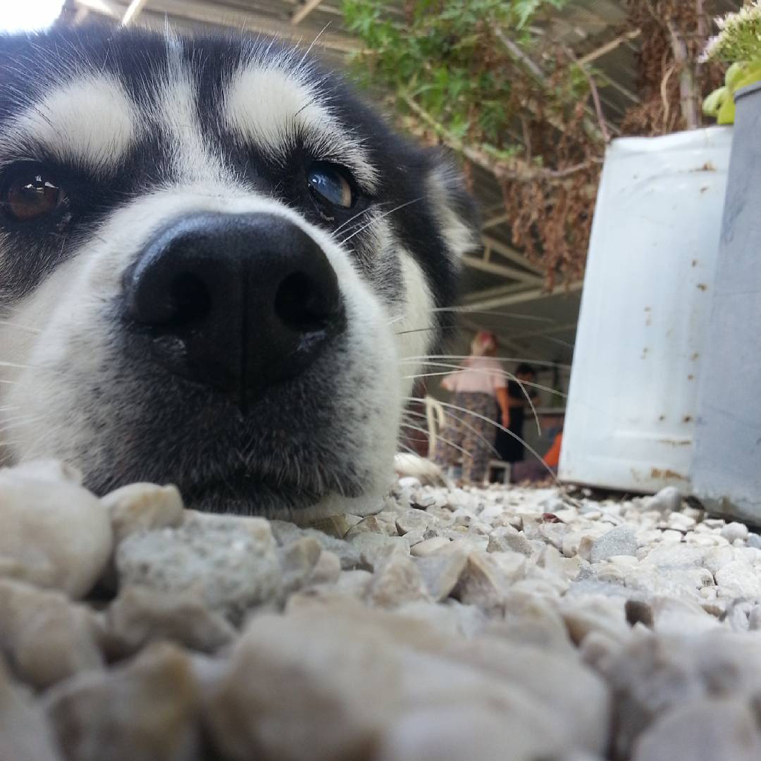 borgahan_karabay_1444301594_1091203324460093382_553862770