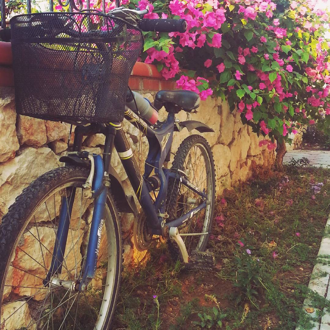 borgahan_karabay_1444461530_1092544964189703213_553862770