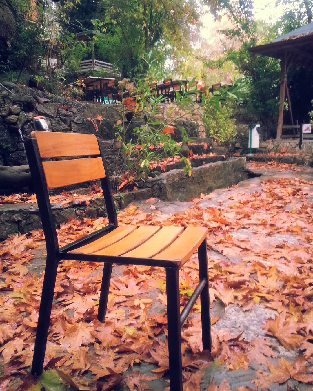 borgahan_karabay_1445586867_1101984971484778093_553862770