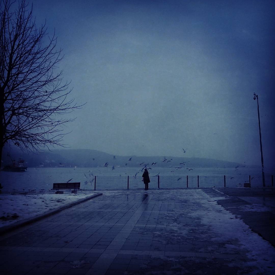 borgahan_karabay_1452150499_1157044711516229272_553862770