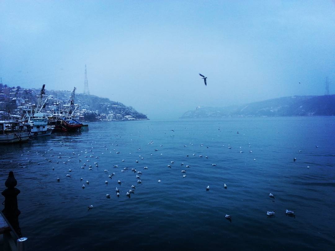 borgahan_karabay_1452150845_1157047613169290948_553862770