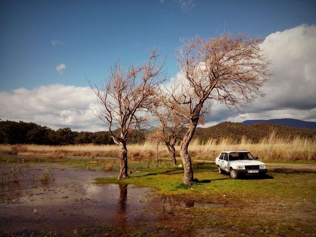 borgahan_karabay_1530967229_1818207361766924095_553862770