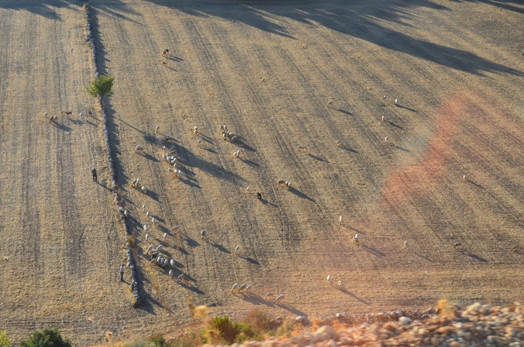 borgahan_karabay_1531974366_1826655834530975126_553862770