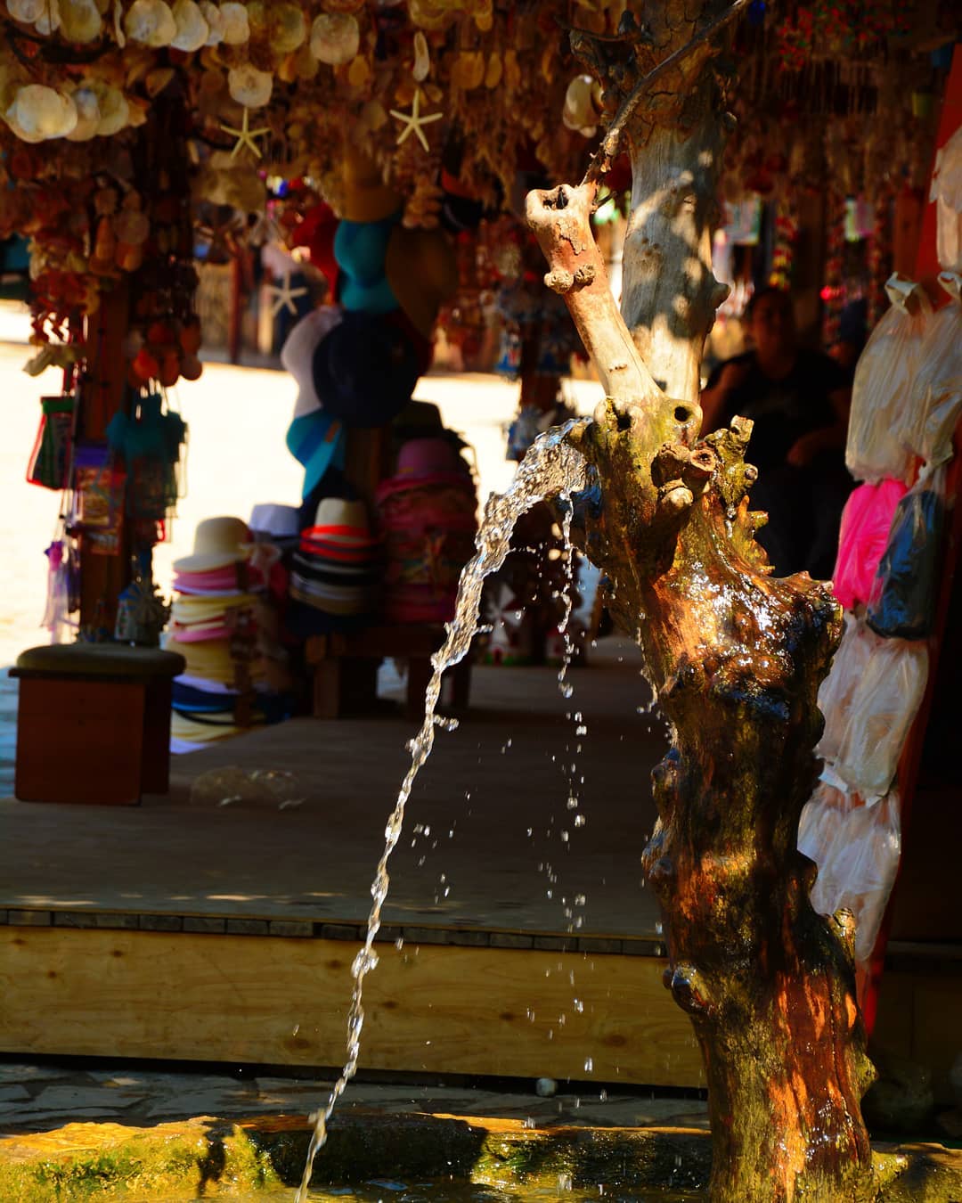 borgahan_karabay_1560542795_2066305190160495726_553862770