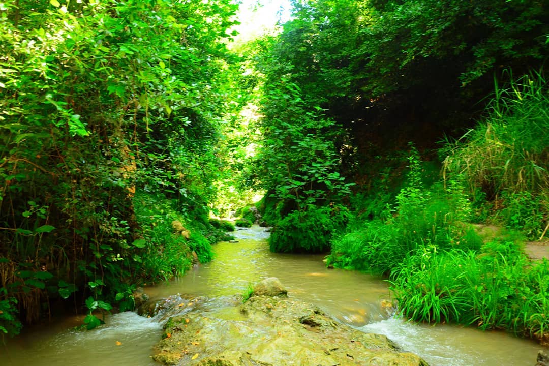 borgahan_karabay_1560556668_2066421568993278788_553862770 (1)