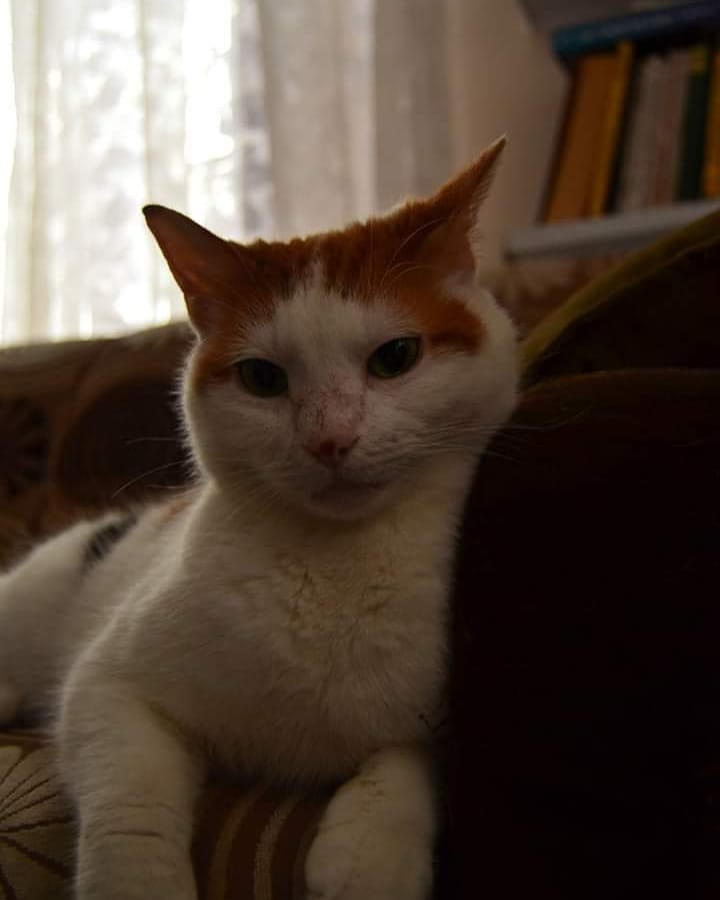 borgahan_karabay_1560793910_2068411694753706115_553862770