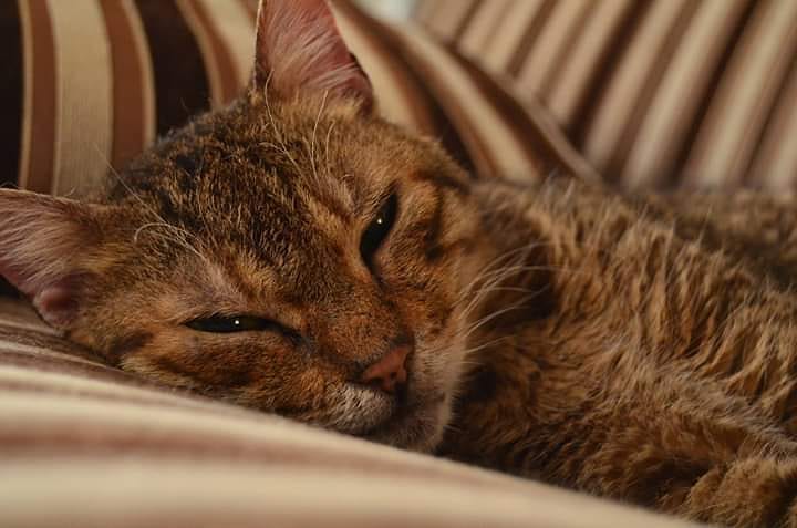 borgahan_karabay_1560793995_2068412408842383996_553862770