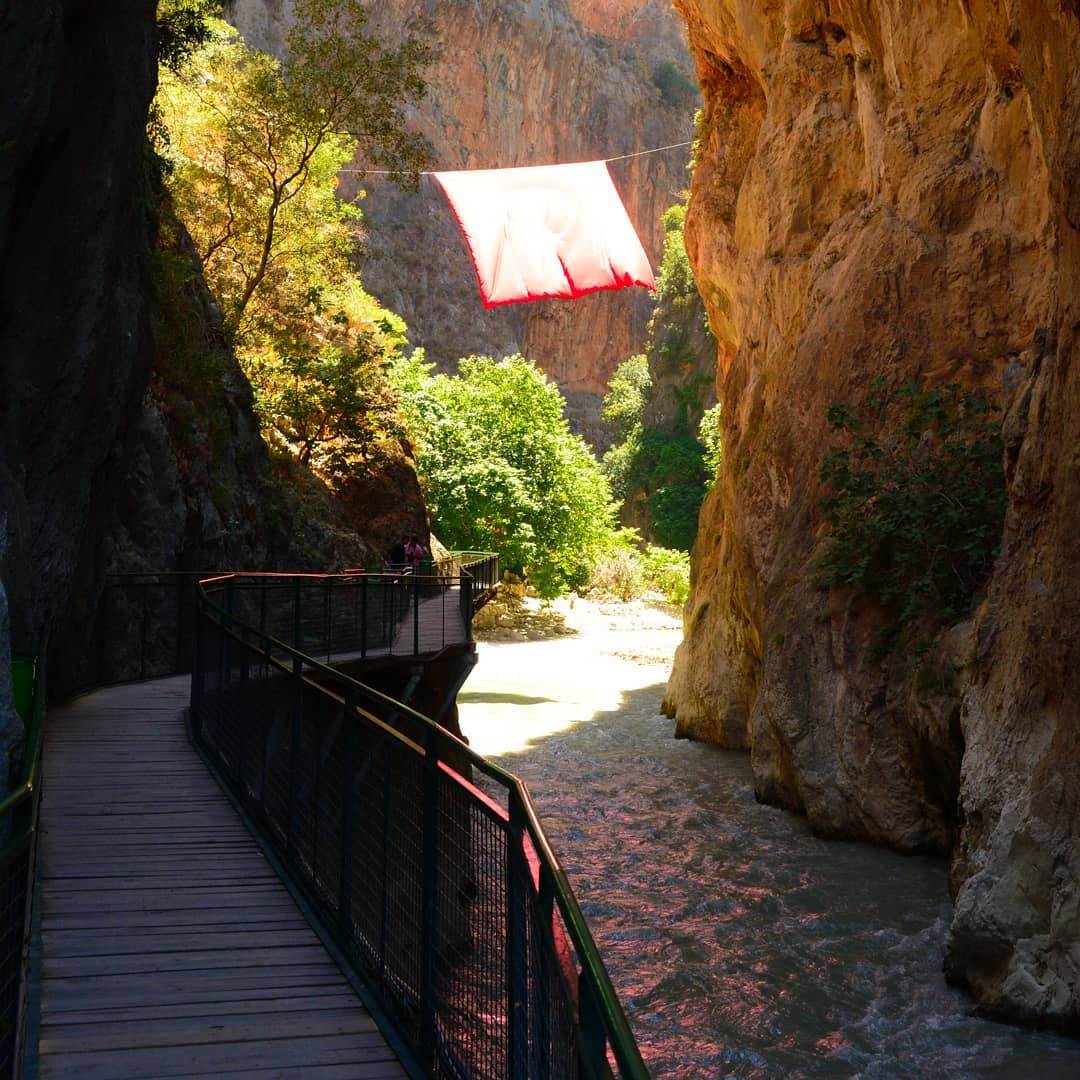 borgahan_karabay_1560875422_2069095464661963373_553862770