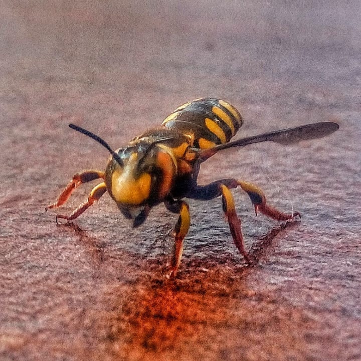 borgahan_karabay_1562142573_2079725102761271522_553862770