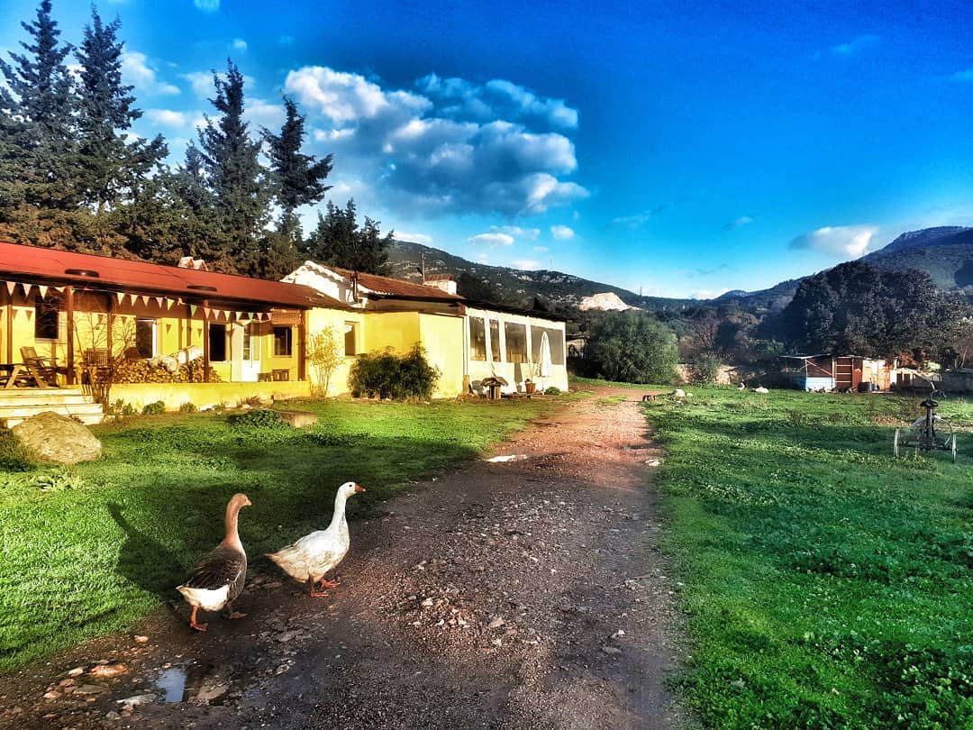 borgahan_karabay_1609228756_2474712629013989026_553862770