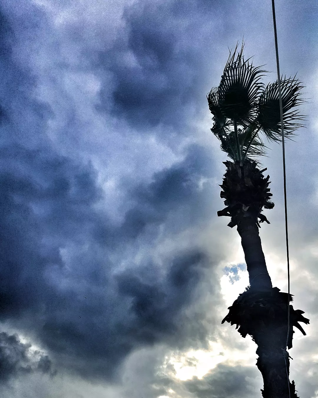 borgahan_karabay_1674458750_3021901483891180031_553862770