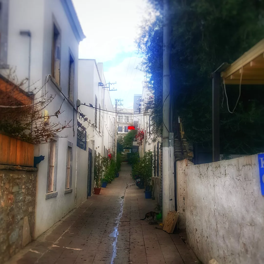 borgahan_karabay_1674458878_3021902554570970814_553862770