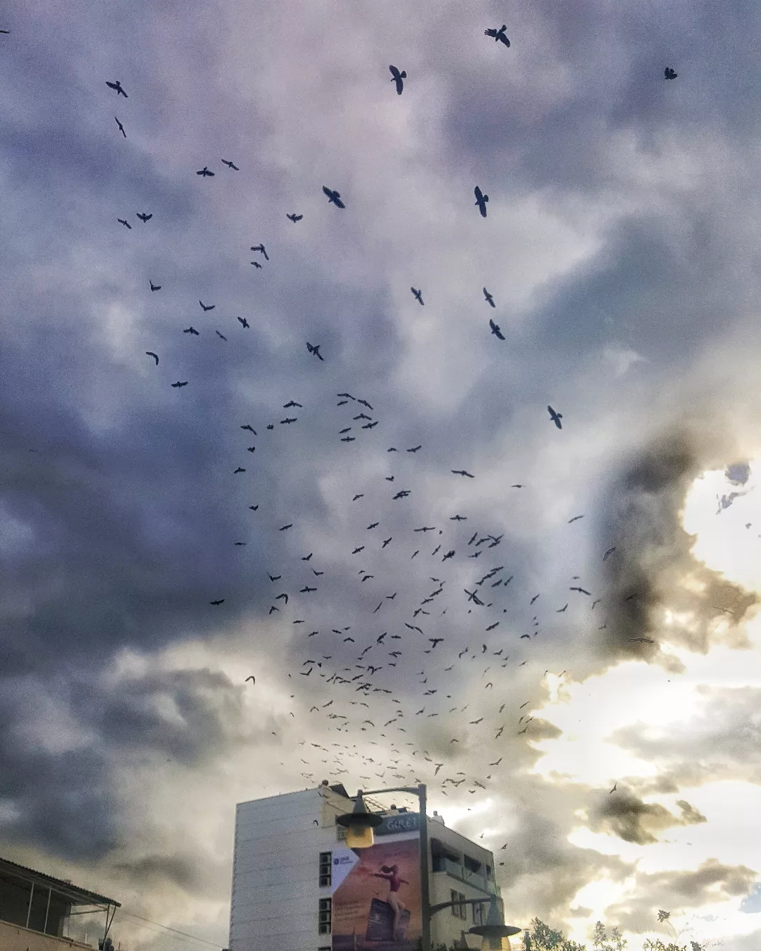 borgahan_karabay_1674459111_3021904510165344755_553862770